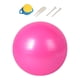 thumbnail image 4 of Pelota De Ejercicio Pilates Entrenamiento Mujer Hombre Inflador Incluido Soporte De Espalda Rosa 55cm, 4 of 5