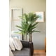 thumbnail image 2 of Palmera 150 Cm, 2 of 3