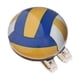 thumbnail image 1 of Marcador De Pelota De Golf, Herramienta Ligera Para Marcar Pelotas De Golf, Novedad Premium, Regalo Para Golfista, Voleibol, Colorido, 1 of 3