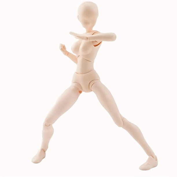 Body-Kun & Body-Chan DX PVC Models: Perfect Gift for Artists & Children Collectors!