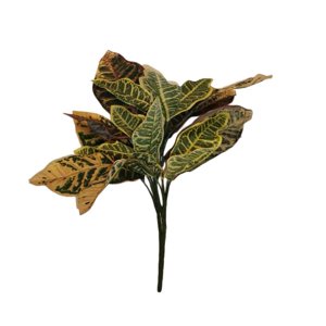 Corel - Ramo De Planta Croton 55 Cm
