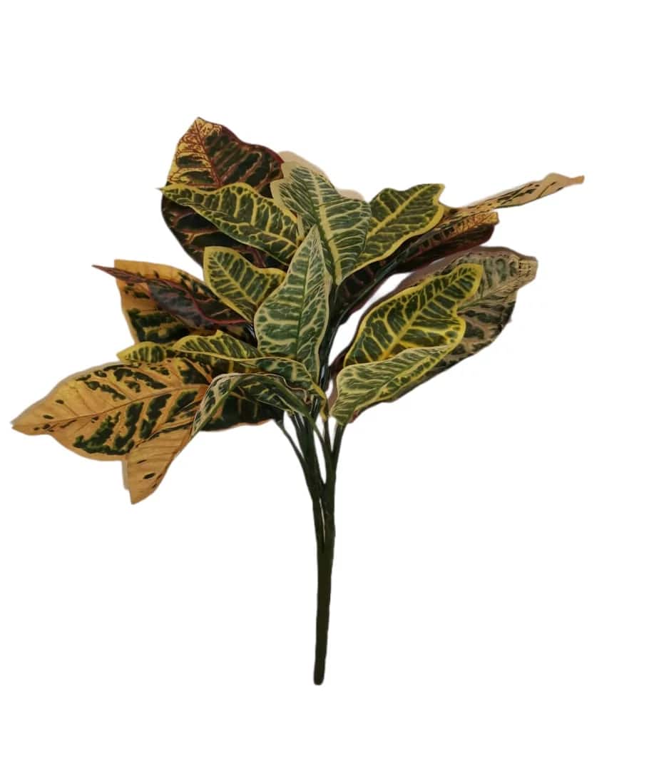 Corel - Ramo De Planta Croton 55 Cm