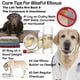 thumbnail image 2 of Crema hidratante para codos para perros The Blissful Dog, 60 ml, 2 of 3