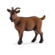 thumbnail image 1 of Figura Schleich Farm World, juguete realista con forma de cabra para niños de más de 3 años, 1 of 4