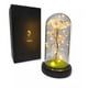 thumbnail image 5 of Rosa Eterna Tornasol Cupula Vidrio Lampara Led Base Madera, 5 of 5