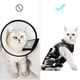 thumbnail image 4 of Traje de Recuperación para Gatos DOTON M Camuflaje Post Cirugía, 4 of 5
