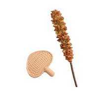 Bothyi - Juego De Escoba Y Ventilador En Miniatura 1:12 Para Casa De Muñecas Con Micropaisaje