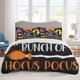 thumbnail image 1 of Hocus Pocus Bedding Sets Cartoon Duvet Cover Lightweight 3 Piece Bet Sets for Kids Boys Girls, 1 of 5