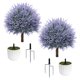thumbnail image 2 of Set de 2 topiarios de lavanda de 63 cm con macetas – LuceAlberi, 2 of 9
