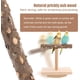 thumbnail image 3 of Juguete de percha para pájaros, juguete de madera natural para loros, soporte para percha y juguetes para masticar, palo para moler patas de periquito, accesorios para jaulas de pájaros pequeños: peri, 3 of 5
