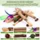 thumbnail image 3 of Juguetes de masticar para gatos WOUSEDO – Pack de 24 palitos de silvervine, 3 of 6