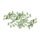 thumbnail image 1 of 50 Cuentas Sueltas Con Diseño De Hojas Para Decorar, Para Manualidades, Collares Y Pulseras, 1,1 X 1,9 Cm, Color Verde Oscuro., 1 of 5