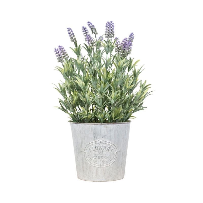 The Garden - Planta Decorativa Lavanda 60 Cm