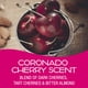 thumbnail image 2 of Ambientador Can California Scents Coronado Cherry 12 x 45 ml, 2 of 7