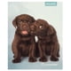 thumbnail image 4 of Cuaderno Universitario Animales Adorables 7mm 100 Hojas / Producto surtido, 1 Un, 4 of 12