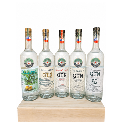 Colección 5 Gin (700 Ml) - Destilados Quintal