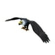 thumbnail image 3 of Modelo de Águila Simulada, Juguete Educativo para Niñas y Niños, Color Negro, 3 of 3