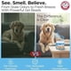 thumbnail image 2 of Gel Desodorante Arm & Hammer Pet Scents 340 g Brisa Fresca, 2 of 3