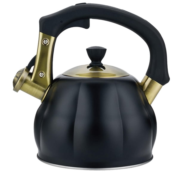 Tetera Lazneyru de 2,5 L de acero inoxidable con silbato