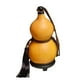 thumbnail image 3 of Botella De Calabaza Con Base Con Tapa Botella De Bebida Con Forma De Calabaza Jarra Para Canotaje, 3 of 5