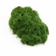 thumbnail image 1 of Musgo artificial caiyjhao 107 g verde con hierba filiforme, 1 of 7