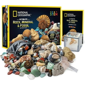 Kit De Rocas Y Fosiles De National Geographic: El Conjunto D National Geographic National Geographic