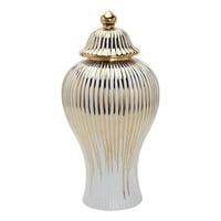 Bothyi - Jarrón De Jengibre De Cerámica Moderno Con Tapa Decoración Del Hogar 6.30X6.30X11.81 Pulgadas