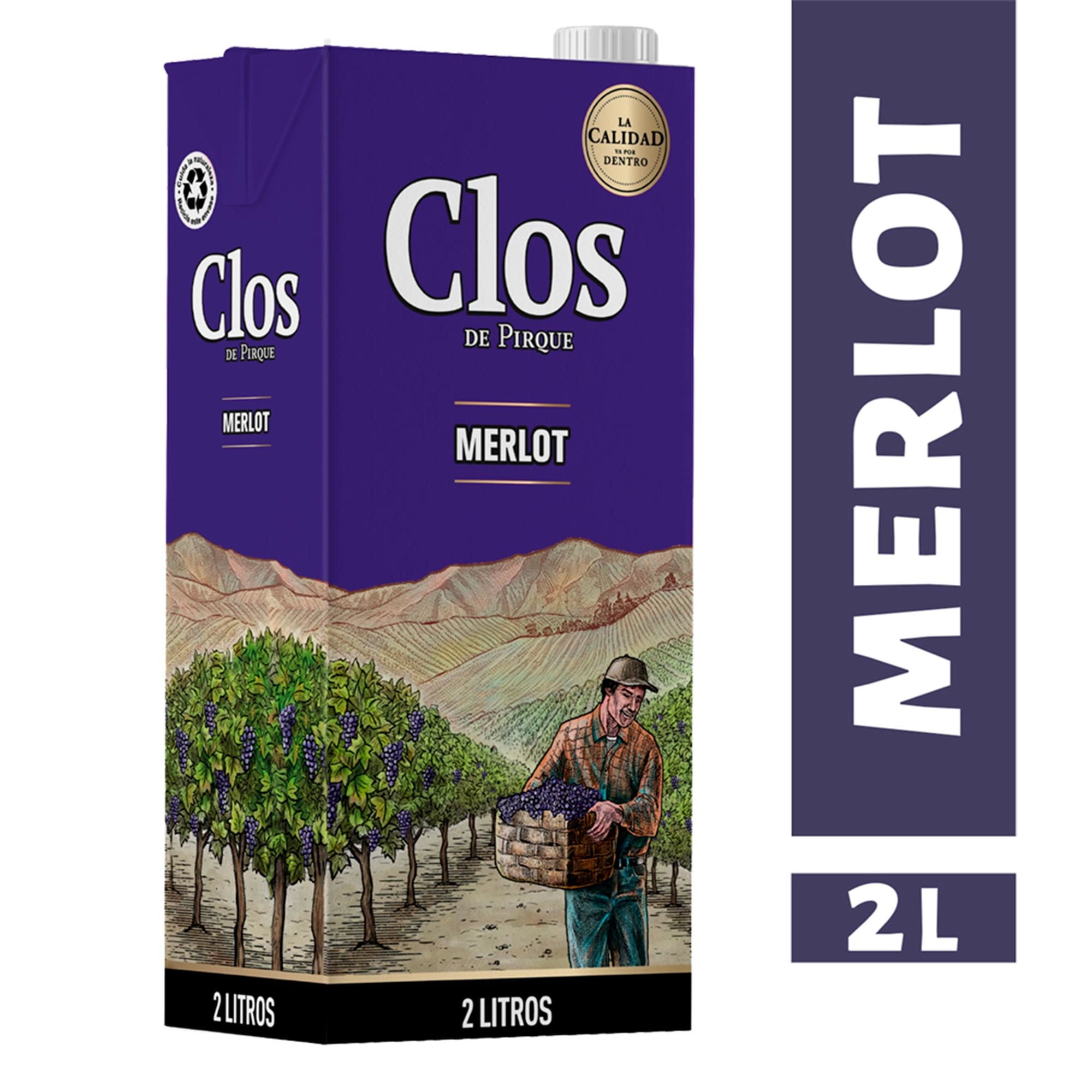 Vino Tinto Merlot Caja 2L Clos de Pirque