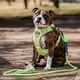 thumbnail image 5 of Correa De Paseo Resistente Para Perros Outdoor Petlounge verde, 5 of 6