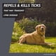 thumbnail image 5 of Control de Plagas para Mascotas Frontline Shield XL 37-54 kg 3 Dosis, 5 of 8