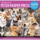 thumbnail image 2 of Rompecabezas PETER PAUPER PRESS All The Cats 1000 piezas, 2 of 3