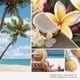 thumbnail image 4 of Ambientador para coche Yankee Candle Car Jar Ultimate Coconut Beach, 4 of 5