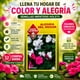 thumbnail image 3 of Semillas Flor Alegría del Hogar Impatien Las Encinas, 3 of 4