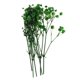 thumbnail image 5 of Hojas prensadas Flores secas naturales Tarjetas Scrapbooking haciendo verde, 5 of 5