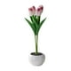 thumbnail image 3 of Tulipanes Creativos Flores Artificiales Con Luz LED Para Adorno De Aniversario Púrpura, 3 of 5