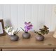 thumbnail image 5 of Arreglo artificial de orquídea Phalaenopsis casi natural, 7 cm, 5 of 6