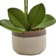 thumbnail image 3 of Planta artificial de orquídea Phalaenopsis casi natural con maceta de cerámica, 3 of 7
