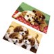 thumbnail image 3 of Juego De 2 Juegos De Ganchos Para Perros Con Herramienta Básica E Instrucciones Para Hacer Alfombras, 3 of 5