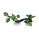 thumbnail image 4 of Decoración De Ramas Para Esquinas De Reptiles Decoración De Ramas De árboles Trepadores Para Terrarios De Cangrejos Y Serpientes Con Hojas Manchadas, 4 of 5