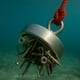 thumbnail image 2 of Iman Neodimio Gancho Redondo Pesca Metales Potente, 2 of 5