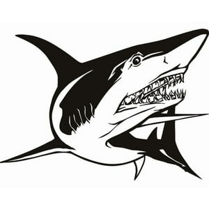 Rienda Libre Graphics - Decomural Great White Shark Under The Sea Ws-17488