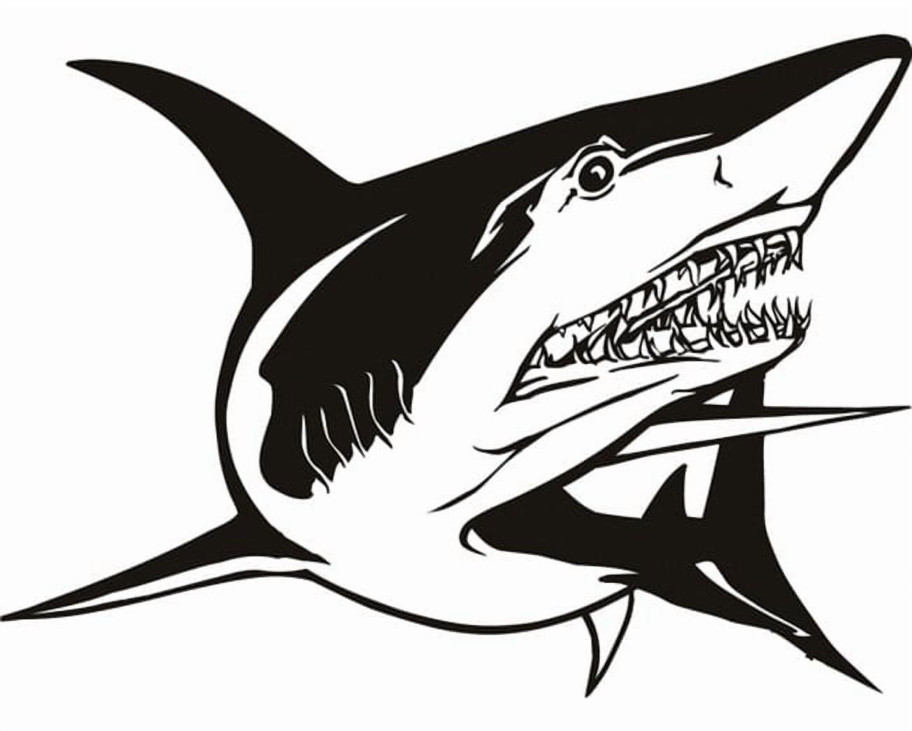 Rienda Libre Graphics - Decomural Great White Shark Under The Sea Ws-17488