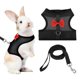thumbnail image 1 of Arnés y Correa para Conejo Uxcell, Arnés de Chaleco Lindo para Mascotas Pequeñas, Correa Ajustable Suave con Hebilla de Malla Transpirable (L, Negro) para Conejito, Gatito, Cerdito Pequeño, Cachorros, 1 of 7