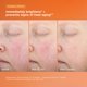 thumbnail image 3 of Crema hidratante Dermalogica Biolumin-C Heat Aging SPF 50 50 ml, 3 of 9