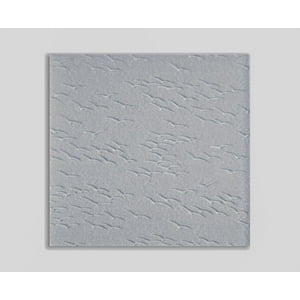 Acrílico Shower 84X172Cm Diseño Gaviota Dvp