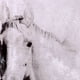 thumbnail image 3 of Cuadro Decorativo Pegasus 83x83, 3 of 4