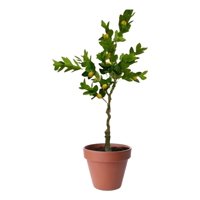 Genérico - Árbol Limón Artificial Verde Decoración Moderna 120Cm Jhn