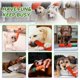 thumbnail image 2 of Set de juguetes para perro Eelexa de 8 piezas: cuerdas en forma de zanahoria y huevos olfativos, 2 of 7