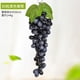 thumbnail image 1 of Uvas Artificiales Suxumhao 2 Packs Negro, 1 of 5