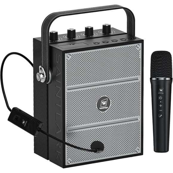 Parlante Karaoke WinBridge S97 60W Bluetooth Micrófono